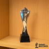 Crystal Award