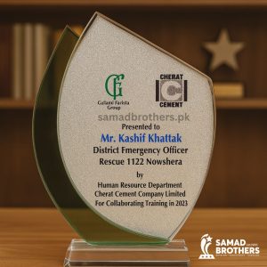 Employee Recognition Shields